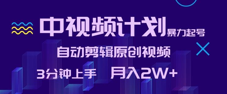中视频计划暴力起号，自动剪辑原创视频，3分钟上手，月入2W+【揭秘】-心语项目网