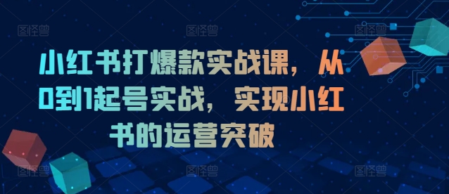 小红书打爆款实战课，从0到1起号实战，实现小红书的运营突破-心语项目网