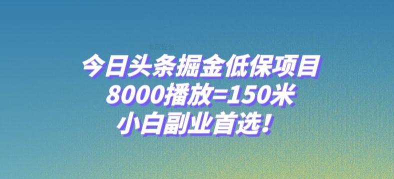 今日头条掘金低保项目，8000播放=150米，小白副业首选【揭秘】-心语项目网