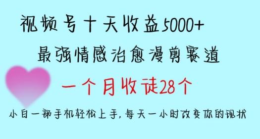 十天收益5000+，多平台捞金，视频号情感治愈漫剪，一个月收徒28个，小白一部手机轻松上手【揭秘】-心语项目网