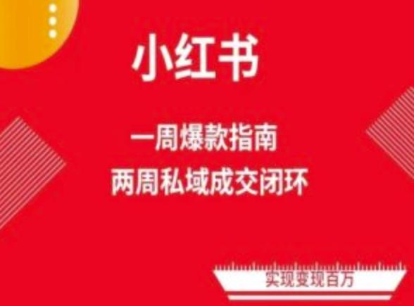 爆款小红书免费流量体系课程(两周变现)，小红书电商教程-心语项目网