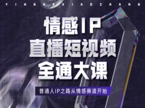 情感IP直播短视频全通大课，普通人IP之路从情感赛道开始-心语项目网