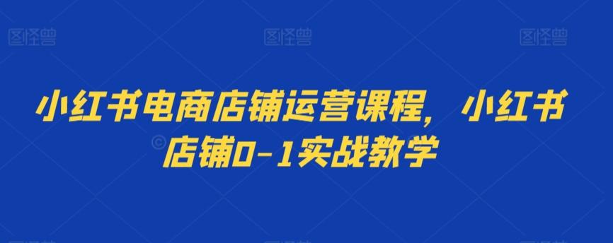 小红书电商店铺运营课程，小红书店铺0-1实战教学-心语项目网