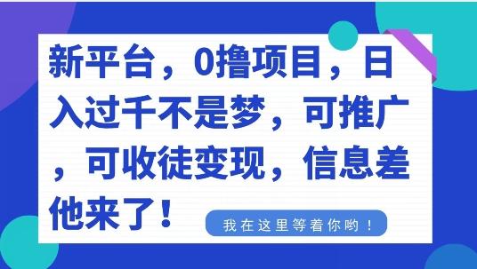 不要再花冤枉钱了，0撸项目，每天坚持，稳定1000+-心语项目网