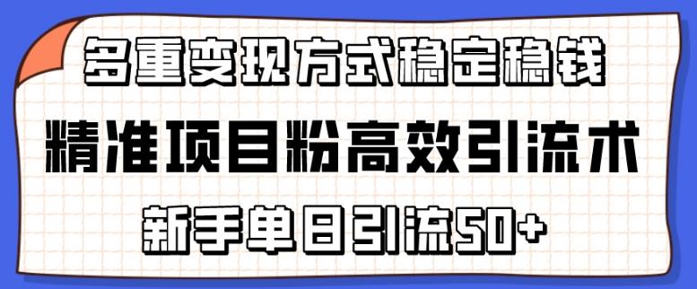 精准项目粉高效引流术，新手单日引流50+，多重变现方式稳定赚钱【揭秘】-心语项目网