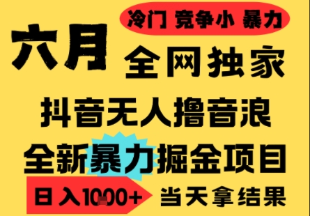 25年6月高爆抖音无人直播最新撸音浪掘金项目，小白可做，无脑日入1k+，门槛低可批量矩阵【揭秘】-心语项目网