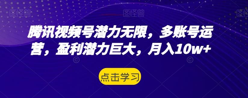 腾讯视频号潜力无限，多账号运营，盈利潜力巨大，月入10w+-心语项目网