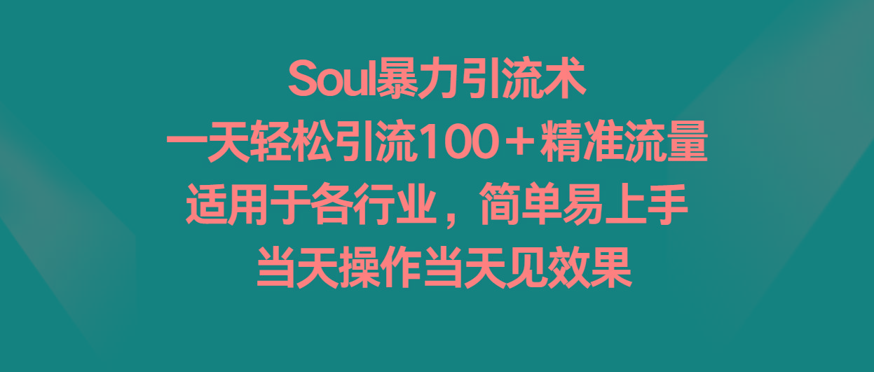 Soul暴力引流术，一天轻松引流100＋精准流量，适用于各行业，简单易上手！-心语项目网