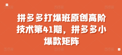 拼多多打爆班原创高阶技术第41期，拼多多小爆款矩阵-心语项目网