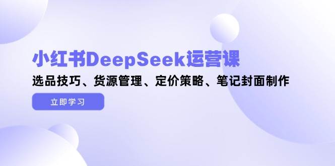 小红书DeepSeek运营课,选品技巧、货源管理、定价策略、笔记封面制作-心语项目网