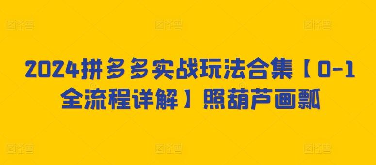 2024拼多多实战玩法合集【0-1全流程详解】照葫芦画瓢-心语项目网