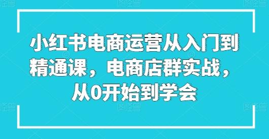 小红书电商运营从入门到精通课，电商店群实战，从0开始到学会-心语项目网