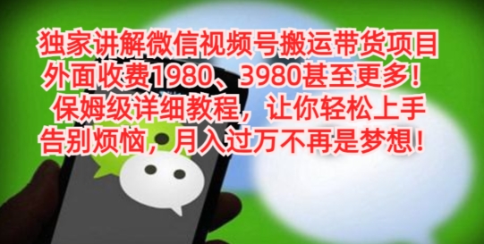 独家讲解微信视频号搬运带货项目，保姆级详细教程-心语项目网