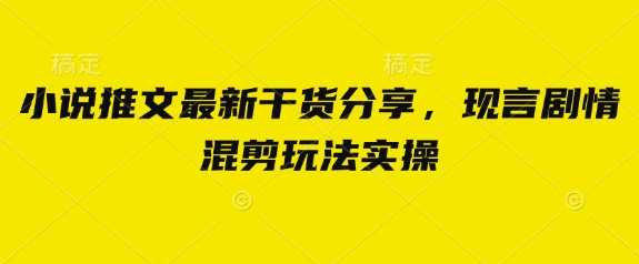 小说推文最新干货分享，现言剧情混剪玩法实操-心语项目网