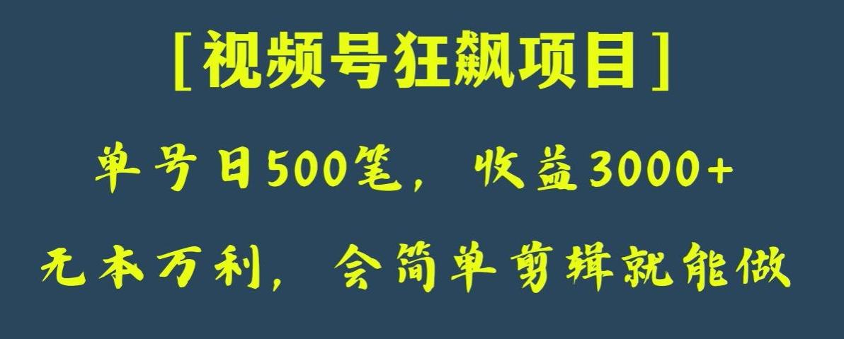 日收款500笔，纯利润3000+，视频号狂飙项目，会简单剪辑就能做【揭秘】-心语项目网