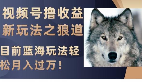 视频号撸收益新玩法之狼道，目前蓝海玩法，轻松月入过万【揭秘】-心语项目网
