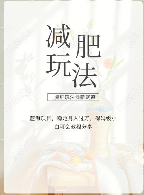 减肥流量主新玩法，轻松月入1W，可矩阵操作收入翻倍-心语项目网