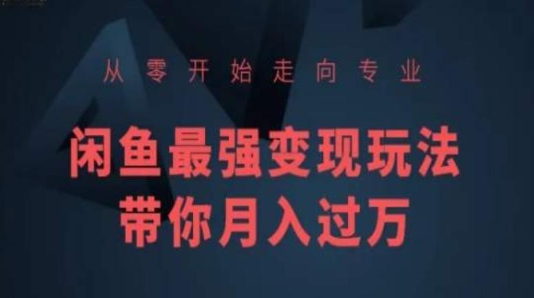 从零开始走向专业，闲鱼最强变现玩法带你月入过万-心语项目网