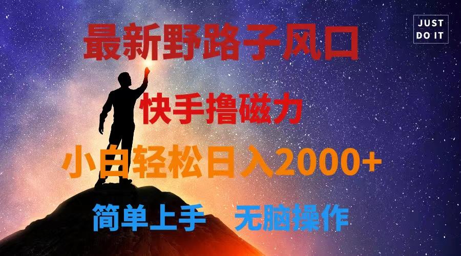 最新风口！快手撸磁力，野路子，小白无脑操作日入2000+-心语项目网