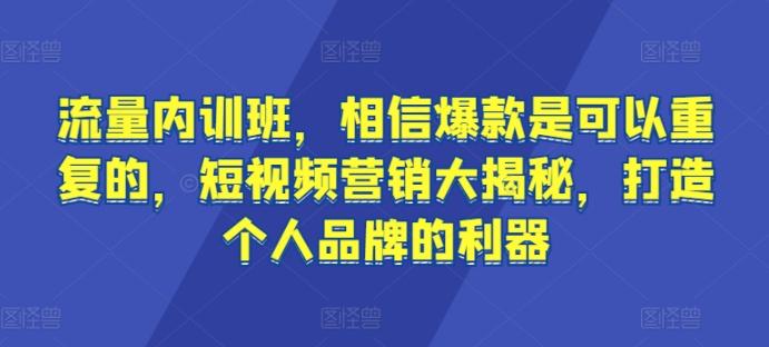 流量内训班，相信爆款是可以重复的，短视频营销大揭秘，打造个人品牌的利器-心语项目网