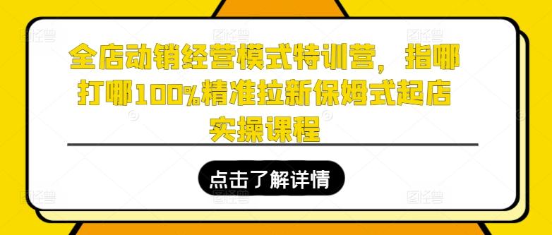 全店动销经营模式特训营，指哪打哪100%精准拉新保姆式起店实操课程-心语项目网