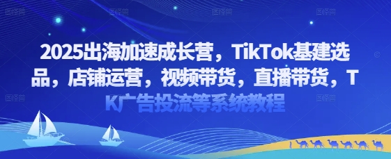 2025出海加速成长营，TikTok基建选品，店铺运营，视频带货，直播带货，TK广告投流等系统教程-心语项目网