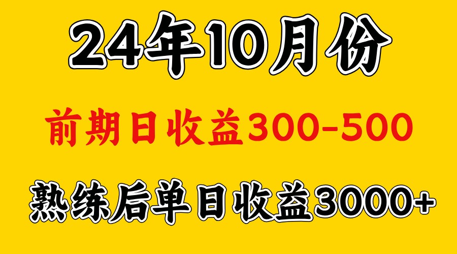 高手是怎么赚钱的.前期日收益500+熟练后日收益3000左右-心语项目网