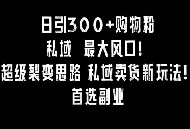 日引300+购物粉，超级裂变思路，私域卖货新玩法，小红书首选副业【揭秘】-心语项目网