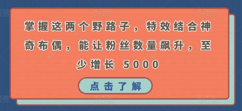 掌握这两个野路子，特效结合神奇布偶，能让粉丝数量飙升，至少增长 5000【揭秘】-心语项目网