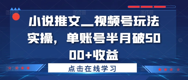 小说推文—视频号玩法实操，单账号半月破5000+收益-心语项目网