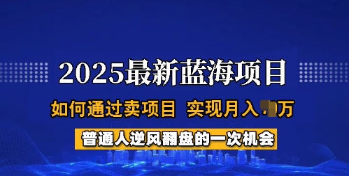 2025蓝海项目，普通人如何通过卖项目，实现月入过W，全过程【揭秘】-心语项目网