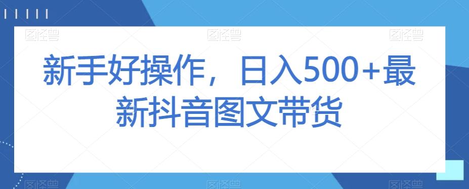 新手好操作，日入500+最新抖音图文带货【揭秘】-心语项目网