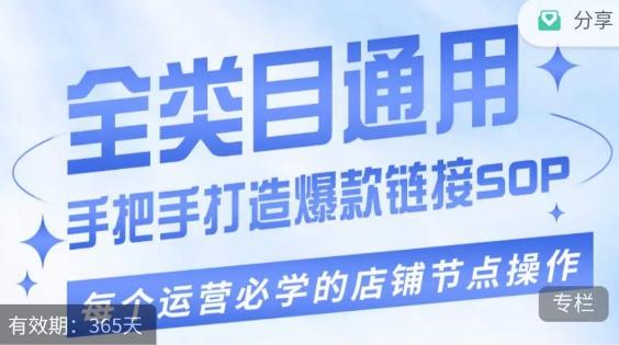 单品爆款打造实操运营，单品爆款从“0”-“1”手把手演练运营步骤-心语项目网