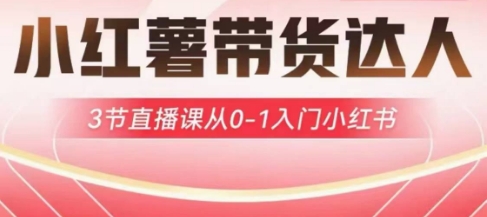 小红薯达人带货启航计划，3节直播课从0-1入门小红书-心语项目网