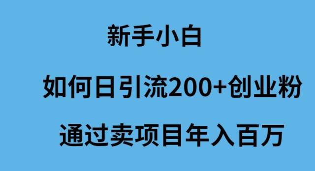 (9668期)新手小白如何日引流200+创业粉通过卖项目年入百万-心语项目网