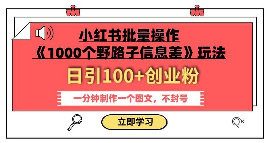 小红书批量操作《1000个野路子信息差》玩法，一分钟制作一个图文，不封号，日引100+创业粉-心语项目网