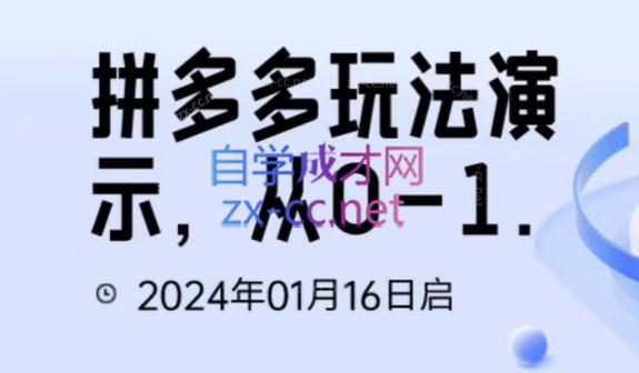 吴老师·拼多多从选品到截流到付费的玩法技巧-心语项目网