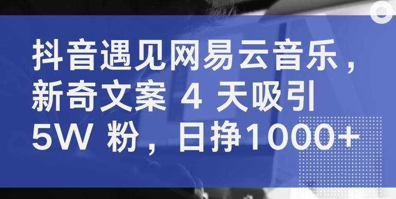 抖音遇见网易云音乐，新奇文案 4 天吸引 5W 粉，日挣1000+【揭秘】-心语项目网