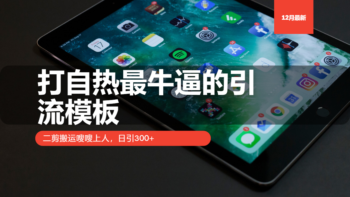 打自热最牛逼的引流模板，二剪搬运嗖嗖上人，日引300+-心语项目网