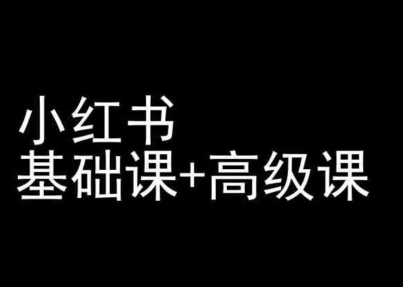 小红书基础课+高级课-小红书运营教程-心语项目网