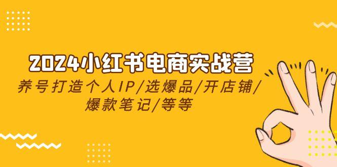 2024小红书电商实战营，养号打造IP/选爆品/开店铺/爆款笔记/等等(24节)-心语项目网
