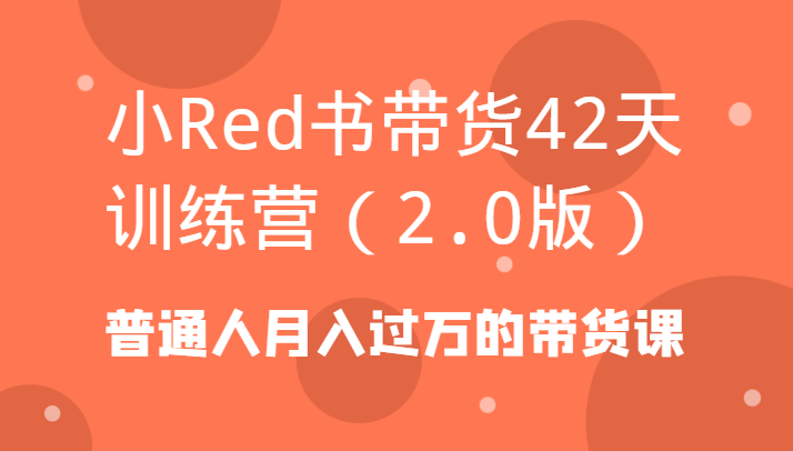 小Red书带货42天训练营(2.0版)普通人月入过万的带货课-心语项目网