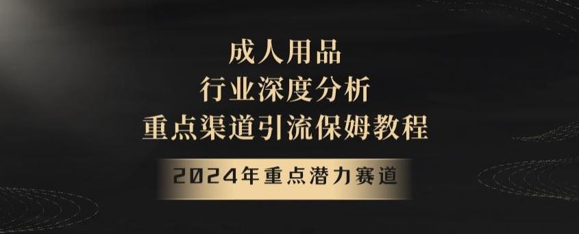 2024年重点潜力赛道，成人用品行业深度分析，重点渠道引流保姆教程【揭秘】-心语项目网