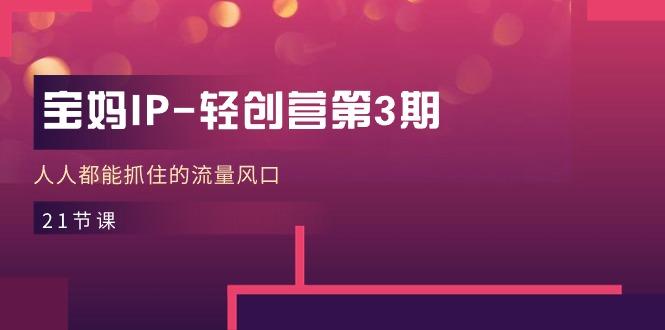 宝妈IP-轻创营第3期，人人都能抓住的流量风口(21节课-心语项目网