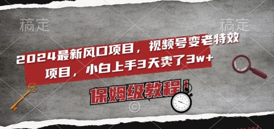 2024最新风口项目,视频号变老特效项目,电脑小白上手3天卖了3w+,保姆级教程【揭秘】