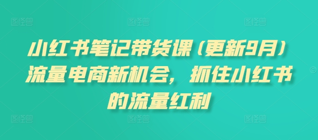小红书笔记带货课(更新25年1月)流量电商新机会，抓住小红书的流量红利-心语项目网