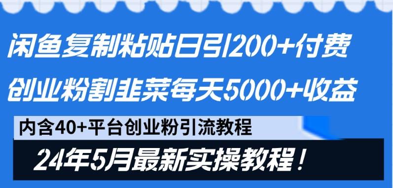 闲鱼复制粘贴日引200+付费创业粉，24年5月最新方法！割韭菜日稳定5000+收益-心语项目网