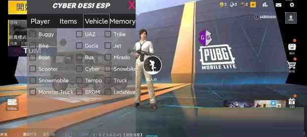 PUBG轻量老外裸奔绘制+自瞄 支持ROOT和框架 里面有全局离线-心语项目网