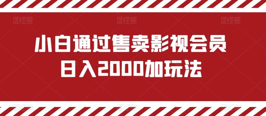 小白通过售卖影视会员日入2000加玩法-心语项目网