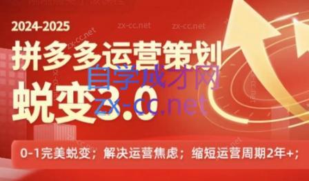 大力老师·2024拼多多运营策略蜕变3.0-心语项目网